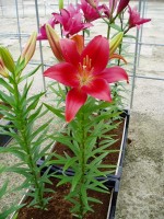 [1657 Mombasa No02.JPG]